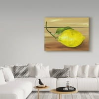 Védjegy képzőművészet 'Lemon on a Box' vászon művészet Gigi Begin