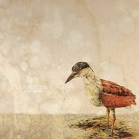 Doomtree-Hamis Remények-Vinyl