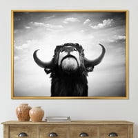 A spanyol bika fekete -fehér portré