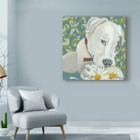 Védjegy Szépművészeti 'Dlynns Dogs Patch' Canvas Art by Dlynn Roll