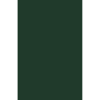 Luxpaper 100lb. CARDSTOCK, 17, zöld ágynemű, 1000 csomag