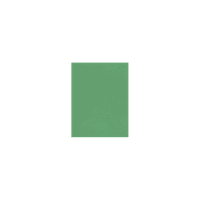 Luxpaper 100lb. Cardstock, 17, Holiday Green, 250 Pack