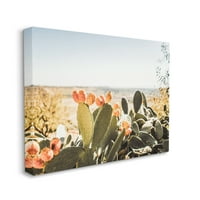 Stupell Napsütötte Fügekaktusz Kaktusz Fotózás Tájkép Fotográfia Galéria Csomagolt Vászon Nyomtatás Fal Művészet